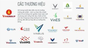 Tổng quan về chủ đầu tư Vinhomes